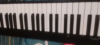 Nektar Impact GX61 Tastiera MIDI USB