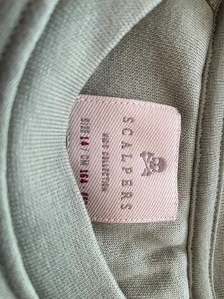 Sudadera Scalpers Verde Talla 16