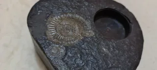 Porta candela con fossili di ammoniti