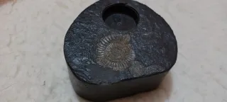 Porta candela con fossili di ammoniti