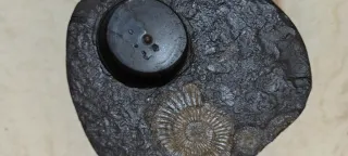 Porta candela con fossili di ammoniti