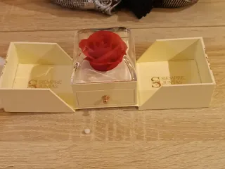 Anillos Siempre Juntos Ajustables Plata