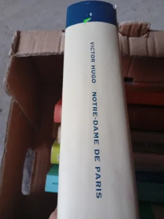 NOTRE-DAME DE PARIS "Italian" (LA BIBLIOTECA UN...