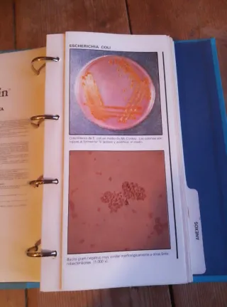 Guía Bacteriológica ilustrada - DISTA, S.A.E. & LI