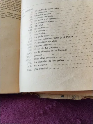 Libro antiguo: Los Ángeles del arroyo