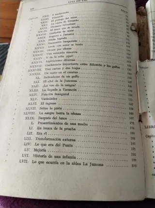 Libro antiguo: Los Ángeles del arroyo