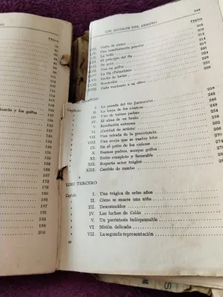 Libro antiguo: Los Ángeles del arroyo