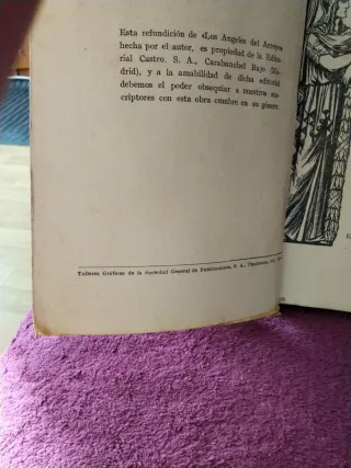 Libro antiguo: Los Ángeles del arroyo