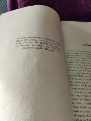 Libro antiguo: Los Ángeles del arroyo