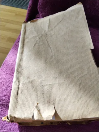 Libro antiguo: Los Ángeles del arroyo