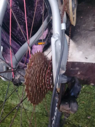 Bicicleta de Montaña MTB ORBEA