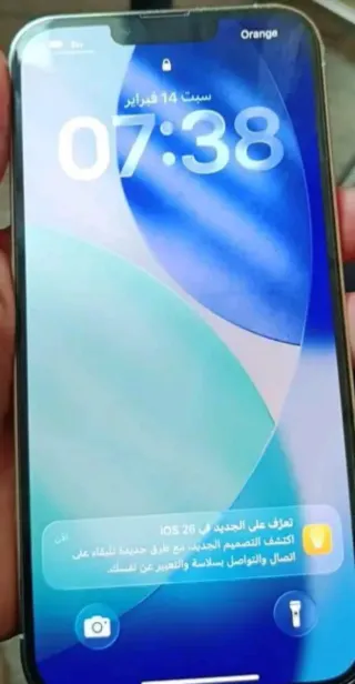 iPhone 13 Pro Max Argento