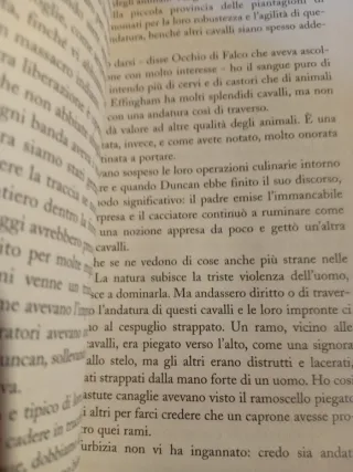 L'ultimo dei mohicani