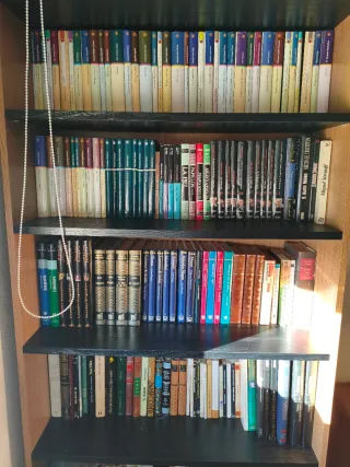 Gran Lote Colección completa de libros