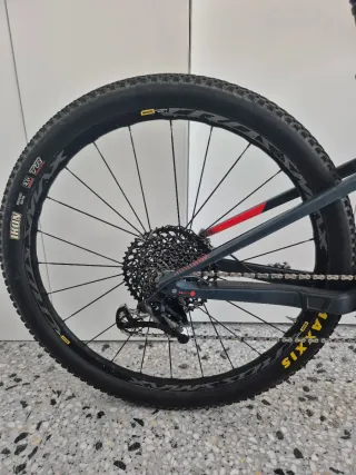 Orbea Oiz M10 TR