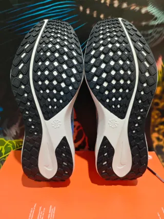 Nike Air Zoom Pegasus 41 SE Multicolor