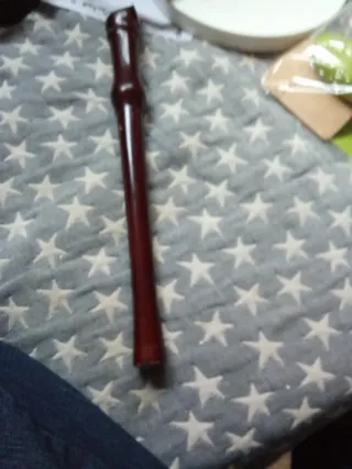 Flauta dulce Hohner madera