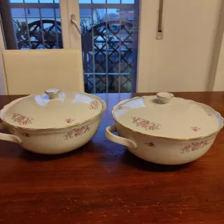 Coppia Zuppiere Richard Ginori Porcellana