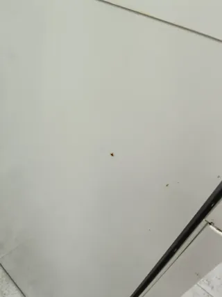 Lavavajillas Whirlpool ADP 650