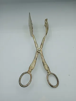 Pinza da portata San Marco