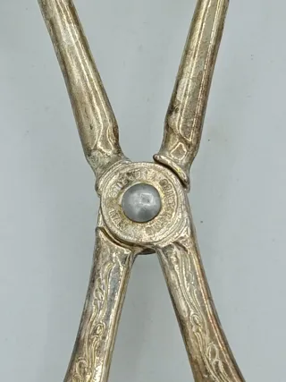 Pinza da portata San Marco