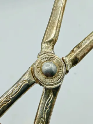 Pinza da portata San Marco