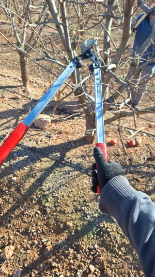 Me ofrezco a trabajar campos