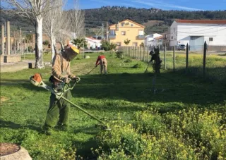 Servicio de jardinería