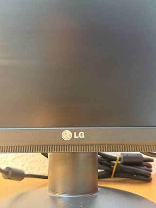 Monitor LG Flatron W1934S 19 Negro