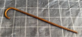 Disfraz de Wally Talla Única