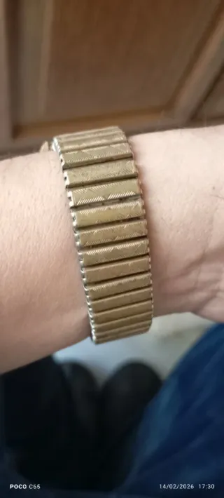 Reloj Tanus Automático Dorado