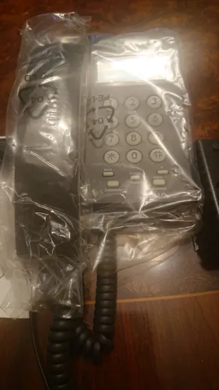 Teléfono antiguo Domo