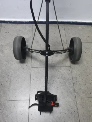 Carro de golf Inesis