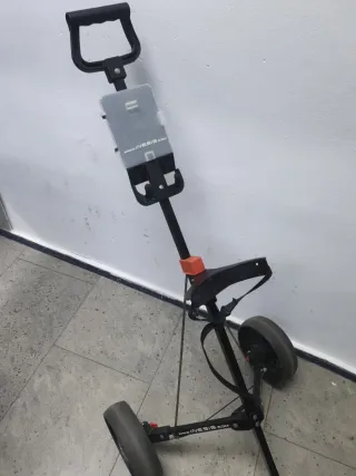 Carro de golf Inesis