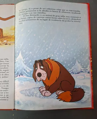 Libro infantil Walt Disney años 70