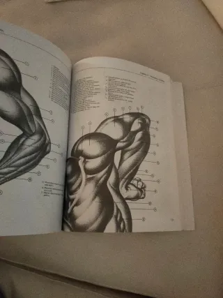 El Dibujo Anatomico a Su Alcance