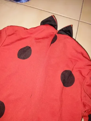Disfraz Ladybug niña talla 10