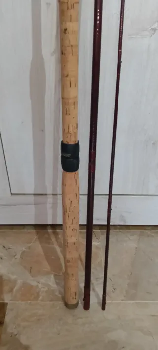 Canna inglese Ostellato Special