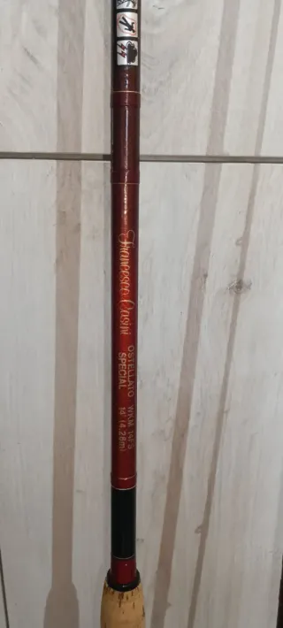 Canna inglese Ostellato Special