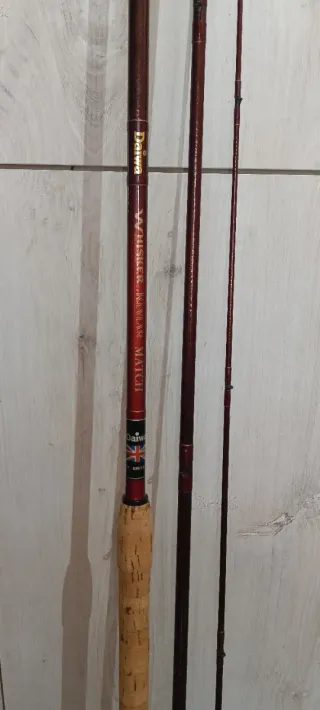 Canna inglese Ostellato Special