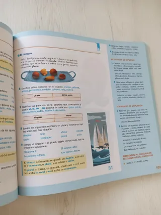 Lengua 3. Propuesta Didáctica.