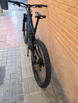 Specialized Turbo Levo