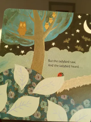 What the Ladybird Heard