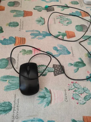 Monitor HP con Webcam, Ratón y Teclado