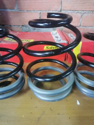 Muelles Eibach Clio Sport