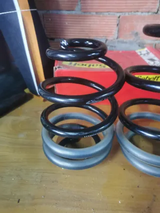 Muelles Eibach Clio Sport