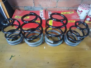 Muelles Eibach Clio Sport