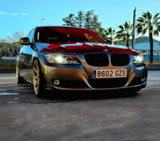 BMW Serie 3 2010