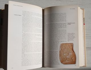 La storia la biblioteca di repubblica