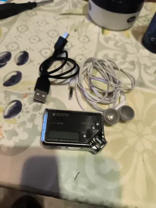 Walkman Sony NW-E95 Negro/Plateado